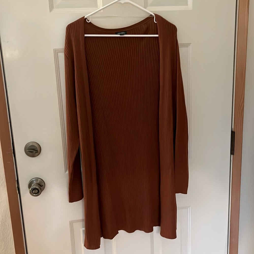 Wild Fable burnt orange long cardigan XL